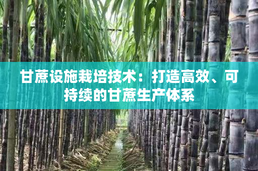 甘蔗设施栽培技术:打造高效、可持续的甘蔗生产体系 甘蔗设施栽培技术:打造高效、可持续的甘蔗生产体系