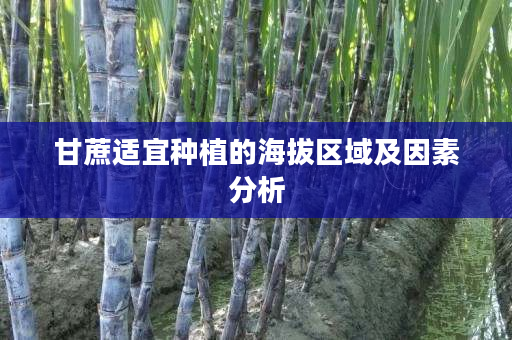 甘蔗适宜种植的海拔区域及因素分析 甘蔗适宜种植的海拔区域及因素分析