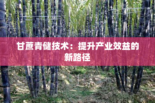 甘蔗青储技术:提升产业效益的新路径 甘蔗青储技术:提升产业效益的新路径