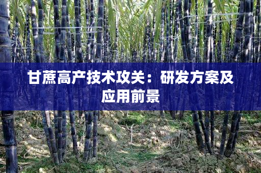 甘蔗高产技术攻关:研发方案及应用前景 甘蔗高产技术攻关:研发方案及应用前景
