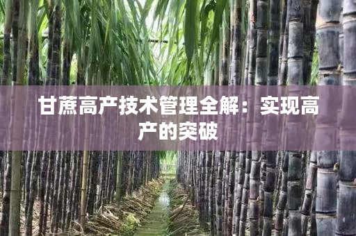 甘蔗高产技术管理全解：实现高产的突破