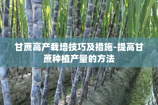 甘蔗高产栽培技巧及措施-提高甘蔗种植产量的方法 甘蔗高产栽培技巧及措施-提高甘蔗种植产量的方法