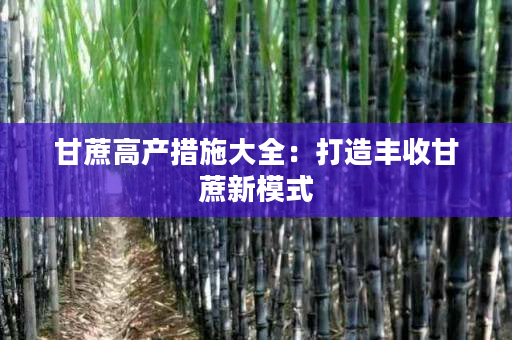 甘蔗高产措施大全：打造丰收甘蔗新模式