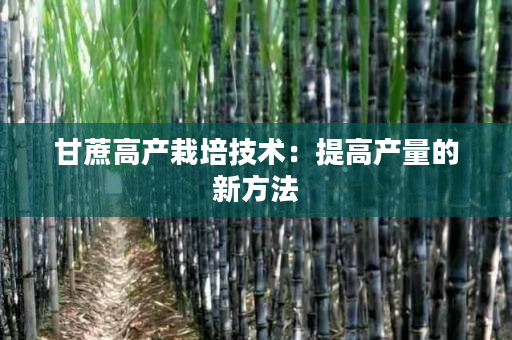 甘蔗高产栽培技术：提高产量的新方法