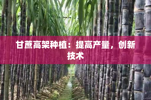甘蔗高架种植:提高产量,创新技术 甘蔗高架种植:提高产量,创新技术