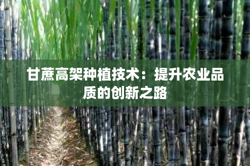 甘蔗高架种植技术:提升农业品质的创新之路 甘蔗高架种植技术:提升农业品质的创新之路