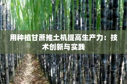 用种植甘蔗推土机提高生产力：技术创新与实践