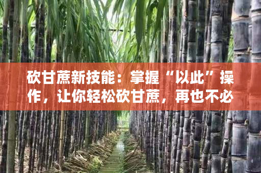 砍甘蔗新技能：掌握“以此”操作，让你轻松砍甘蔗，再也不必费力气！