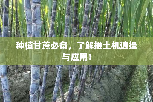 种植甘蔗必备，了解推土机选择与应用！