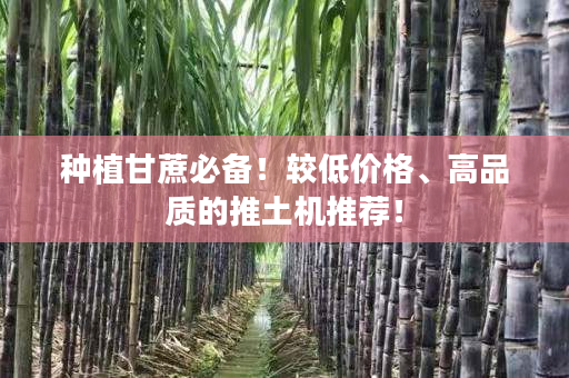 种植甘蔗必备!较低价格、高品质的推土机推荐! 种植甘蔗必备!较低价格、高品质的推土机推荐!