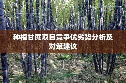 种植甘蔗项目竞争优劣势分析及对策建议
