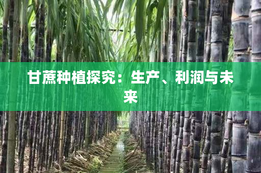 甘蔗种植探究:生产、利润与未来 甘蔗种植探究:生产、利润与未来