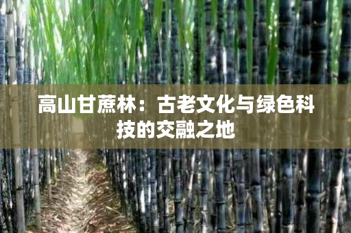 高山甘蔗林:古老文化与绿色科技的交融之地 高山甘蔗林:古老文化与绿色科技的交融之地