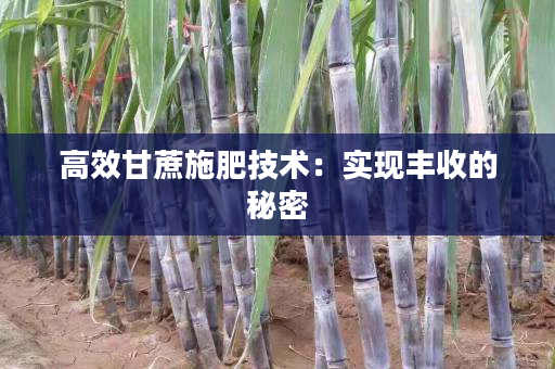 高效甘蔗施肥技术:实现丰收的秘密 高效甘蔗施肥技术:实现丰收的秘密