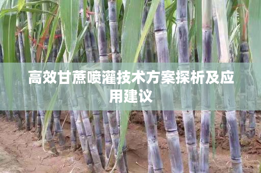 高效甘蔗喷灌技术方案探析及应用建议 高效甘蔗喷灌技术方案探析及应用建议
