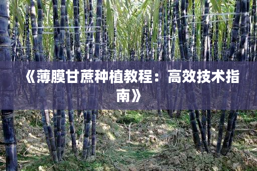 《薄膜甘蔗种植教程：高效技术指南》