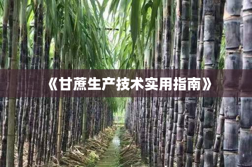 《甘蔗生产技术实用指南》 《甘蔗生产技术实用指南》