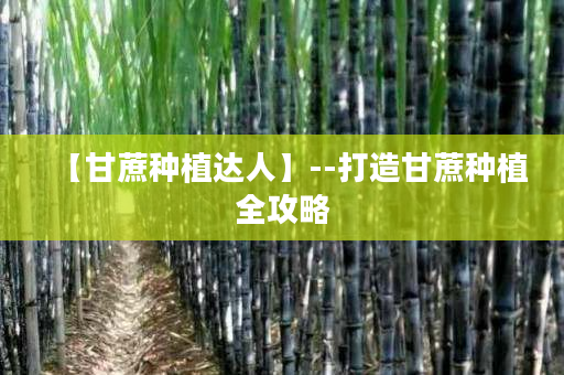 【甘蔗种植达人】--打造甘蔗种植全攻略 【甘蔗种植达人】--打造甘蔗种植全攻略