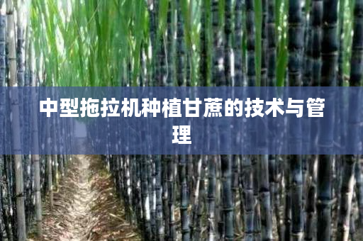 中型拖拉机种植甘蔗的技术与管理 中型拖拉机种植甘蔗的技术与管理