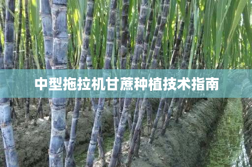 中型拖拉机甘蔗种植技术指南 中型拖拉机甘蔗种植技术指南