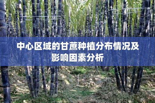 中心区域的甘蔗种植分布情况及影响因素分析 中心区域的甘蔗种植分布情况及影响因素分析
